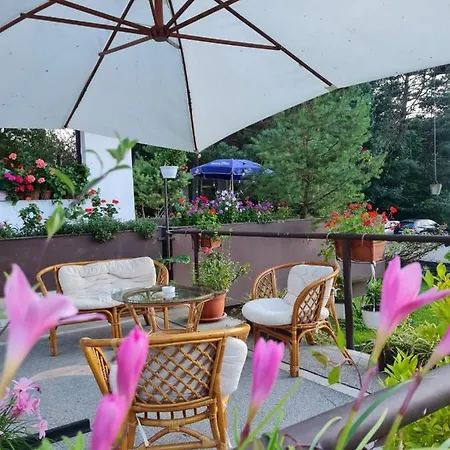 Hotel Randunica Valiug